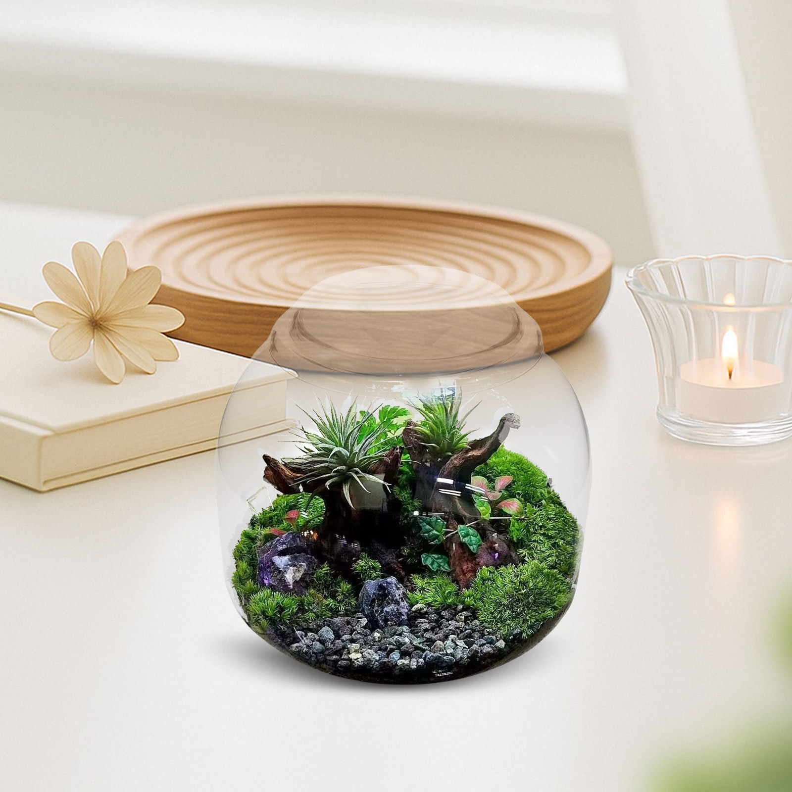 Terrarium Glass Bottle - Jarra de Terrário de Vidro com