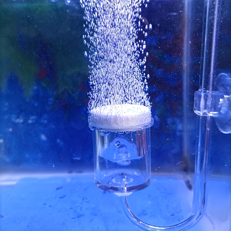 Terrarium Glass Bottle - Difusor de atomizador de co2 de
