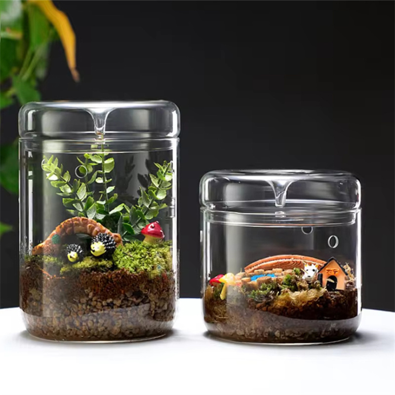 Terrarium Glass Bottle - Garrafas de vidro criatividade orvalho coleção