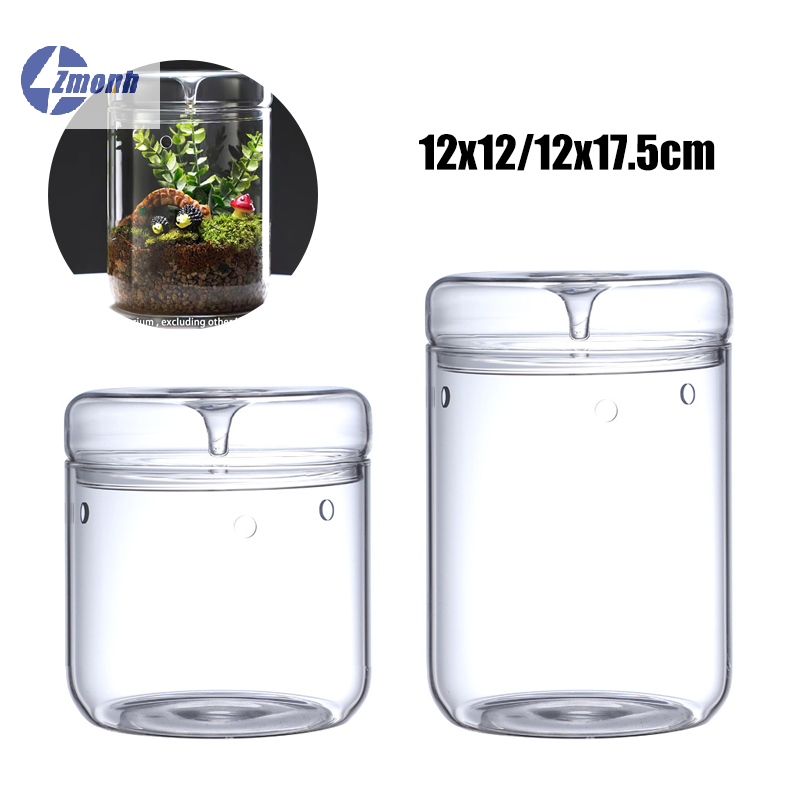 Terrarium Glass Bottle - Novo! Garrafa de Vidro para Micro