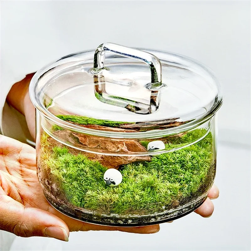 Terrarium Glass Bottle - Micro paisagem musgo plantas garrafa de