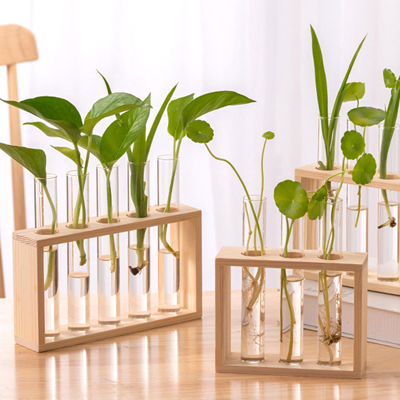 Terrarium Glass Bottle - Recipiente de plantas hidropônicas com moldura