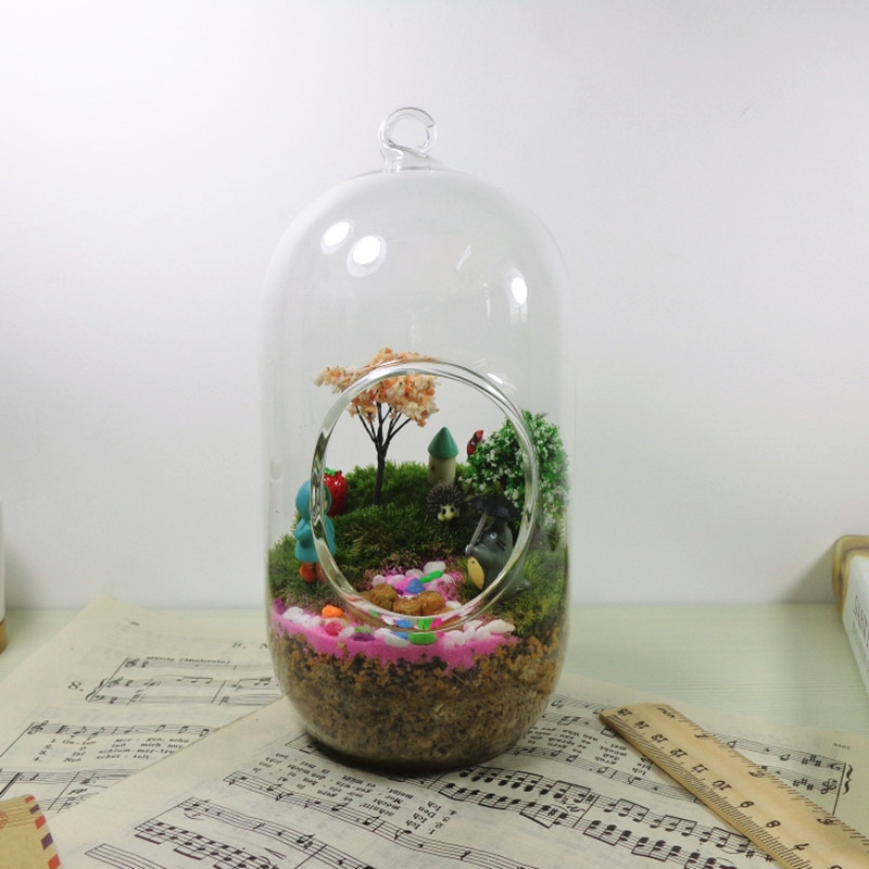 2 unidades/pacote Vaso Terrári - Terrarium Glass Bottle avaliação e preço