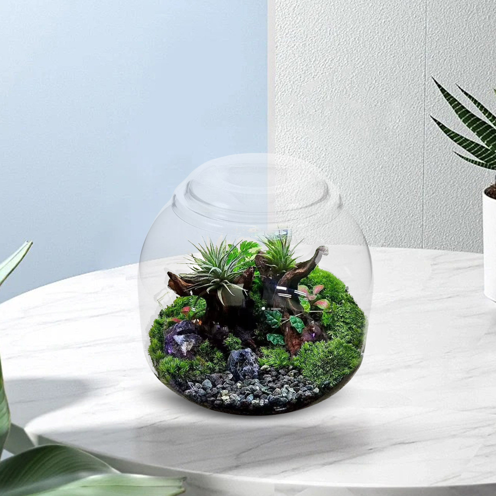 Jarra de Terrário de Vidro com - Terrarium Glass Bottle avaliação e preço