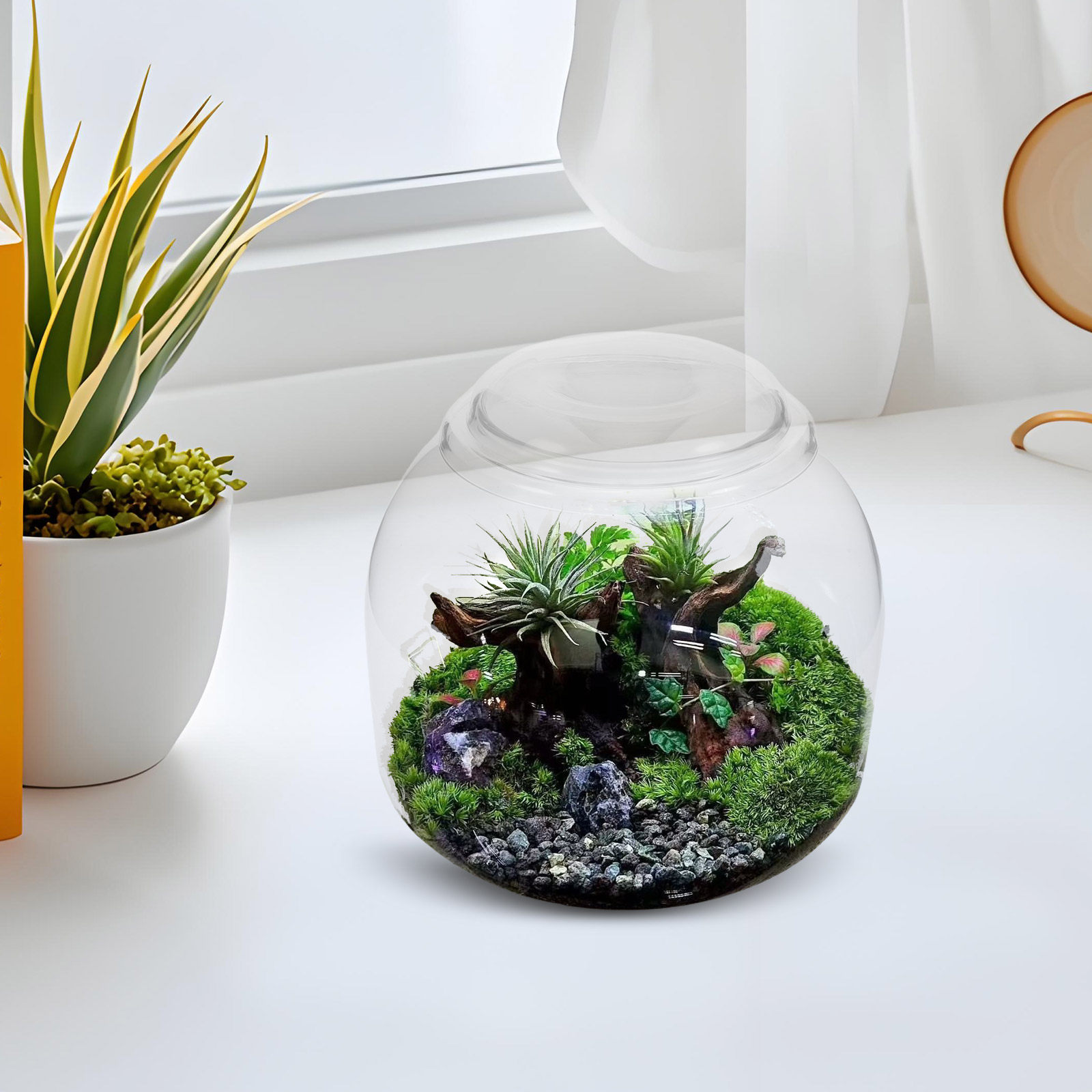 Jarra de Terrário de Vidro com - Terrarium Glass Bottle avaliação e preço