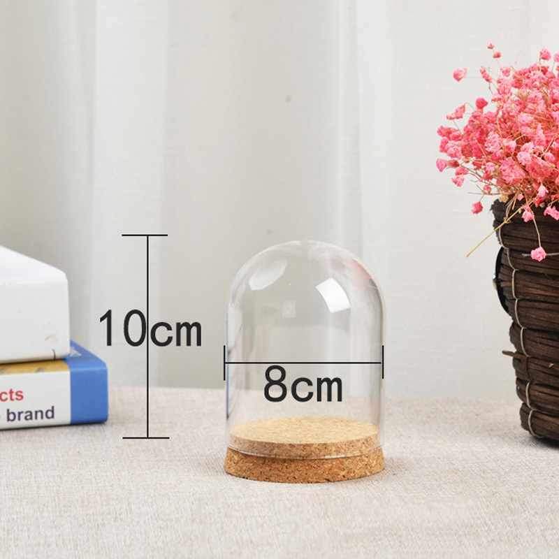 Capa de cúpula de vidro para f - Terrarium Glass Bottle avaliação e preço