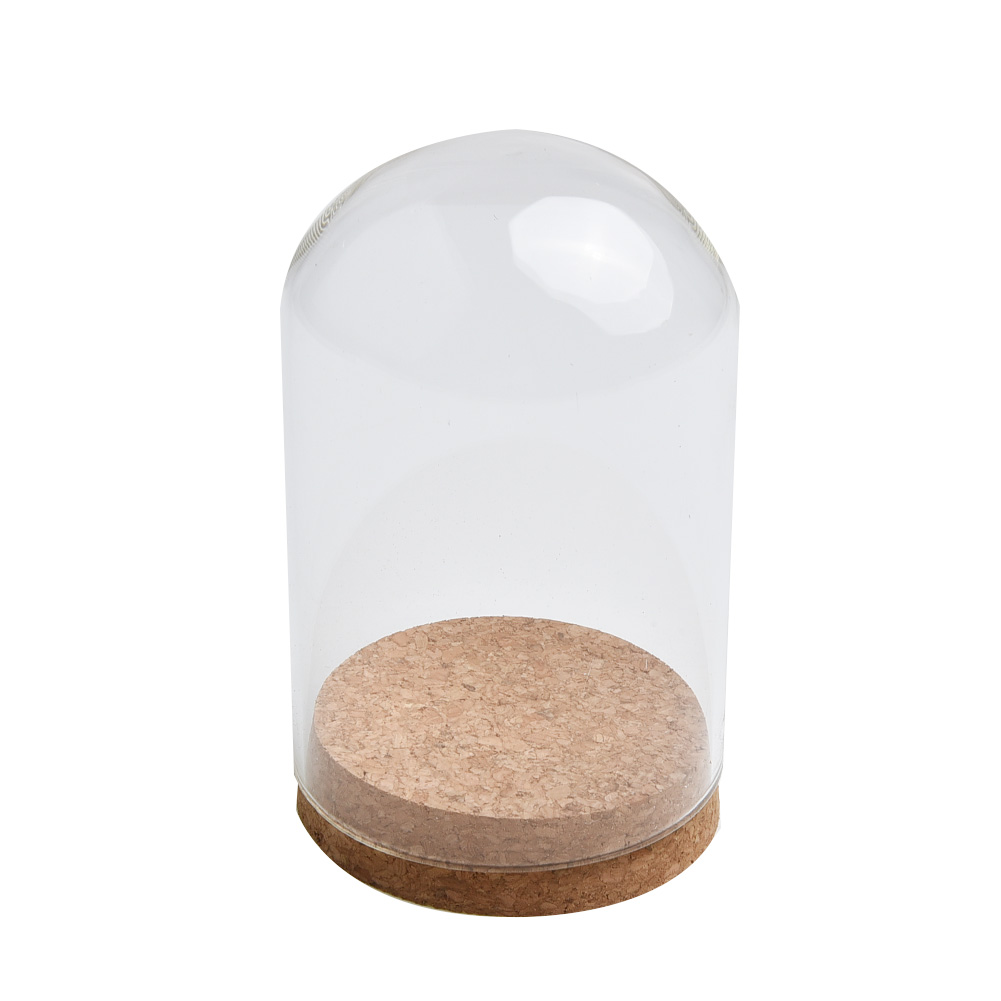 Capa de cúpula de vidro para f - Terrarium Glass Bottle avaliação e preço