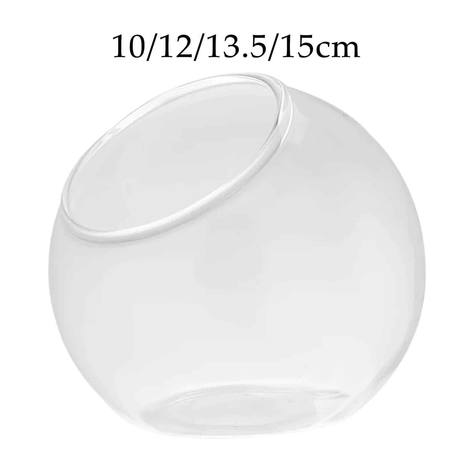Terrário Vidro Vaso, Único Cen - Terrarium Glass Bottle avaliação e preço