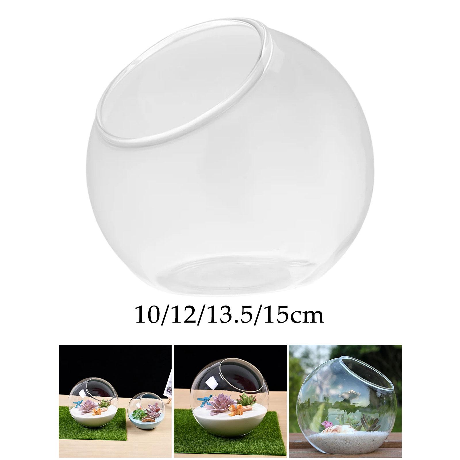 Terrário Vidro Vaso, Único Cen - Terrarium Glass Bottle avaliação e preço