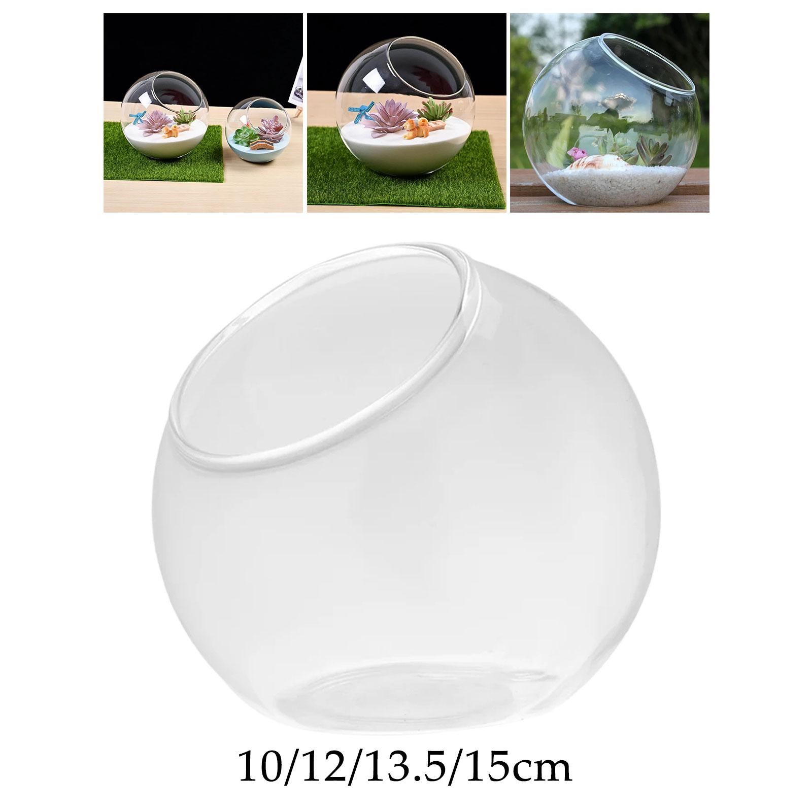 Terrário Vidro Vaso, Único Cen - Terrarium Glass Bottle avaliação e preço