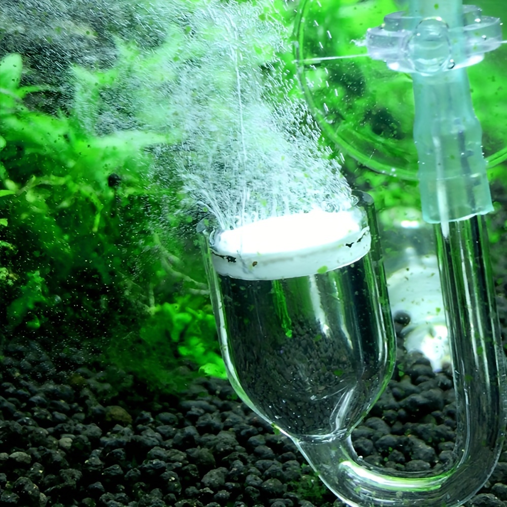 Difusor de atomizador de co2 d - Terrarium Glass Bottle avaliação e preço