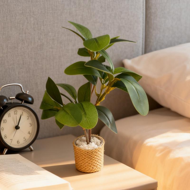 1/6 casa de bonecas simulação  - Home Decor Green avaliação e preço