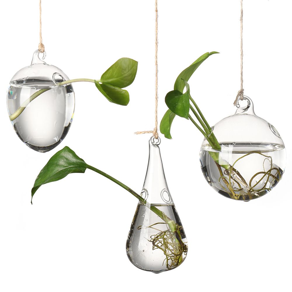 Criativo Pendurado Vaso De Vid - Terrarium Glass Bottle avaliação e preço
