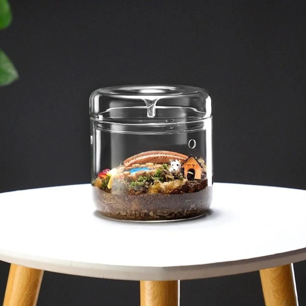 Vaso de Vidro para Micro Paisa - Terrarium Glass Bottle avaliação e preço