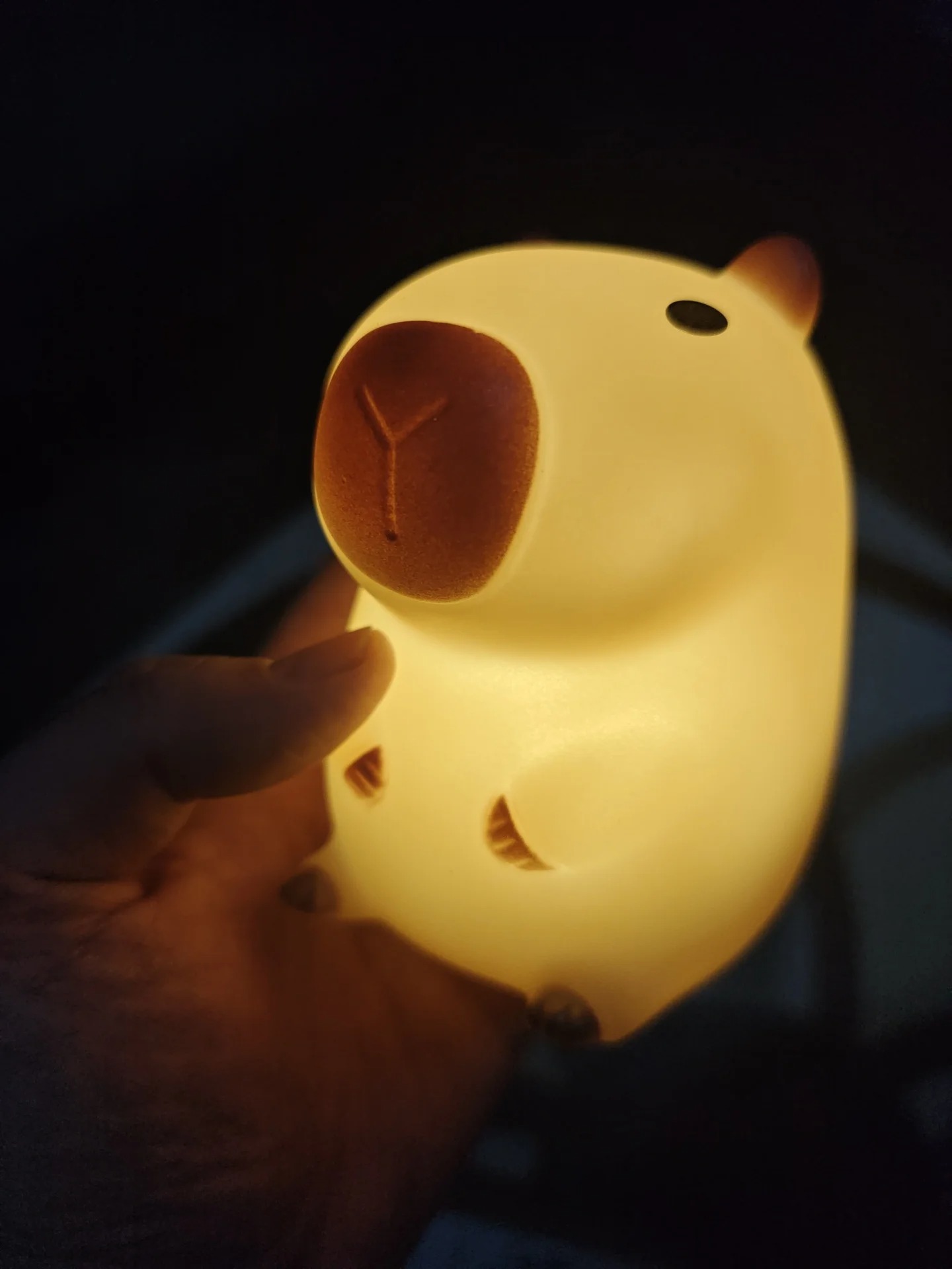Luminária Noturna de Capivara  - Home Decor On Sale avaliação e preço