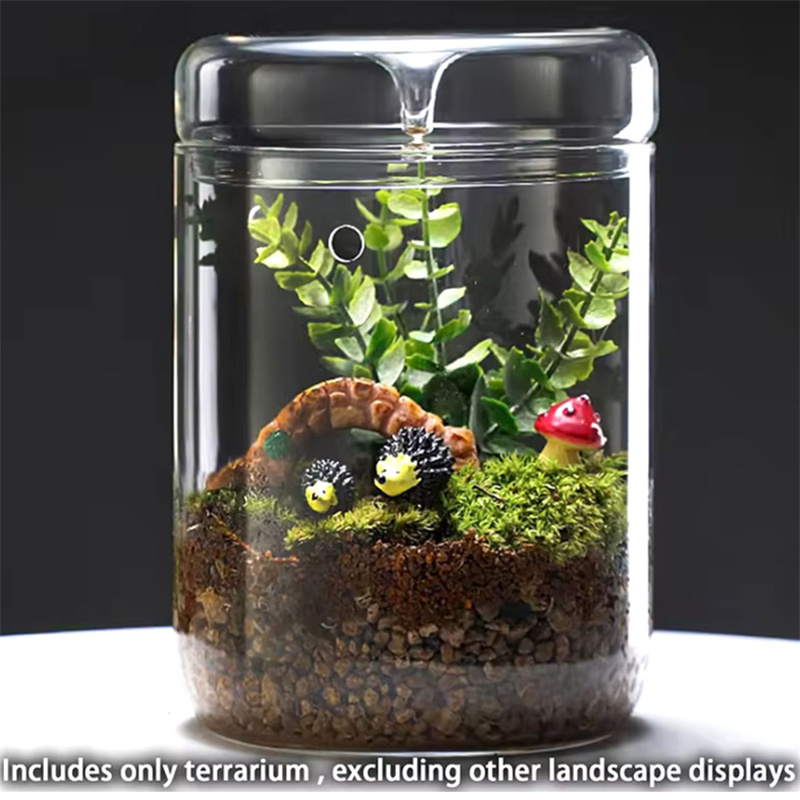 Garrafas de vidro criatividade - Terrarium Glass Bottle avaliação e preço