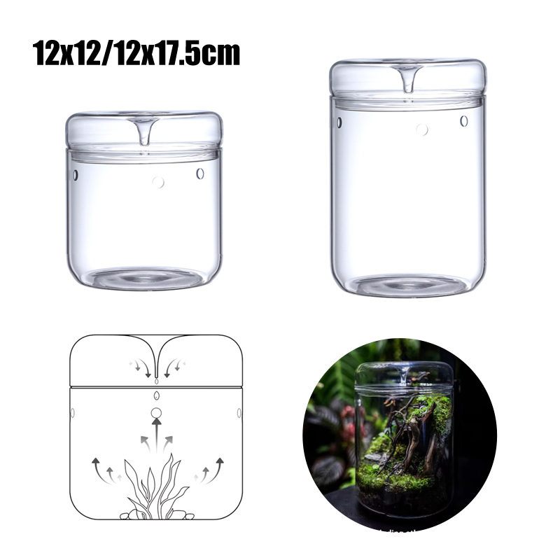 Novo! Garrafa de Vidro para Mi - Terrarium Glass Bottle avaliação e preço