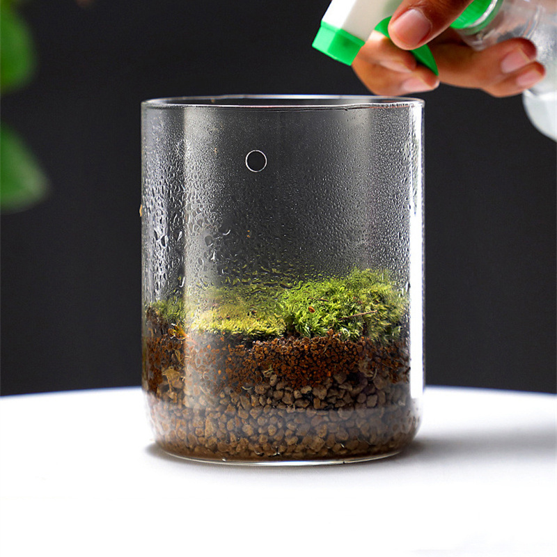 Novo! Garrafa de Vidro para Mi - Terrarium Glass Bottle avaliação e preço