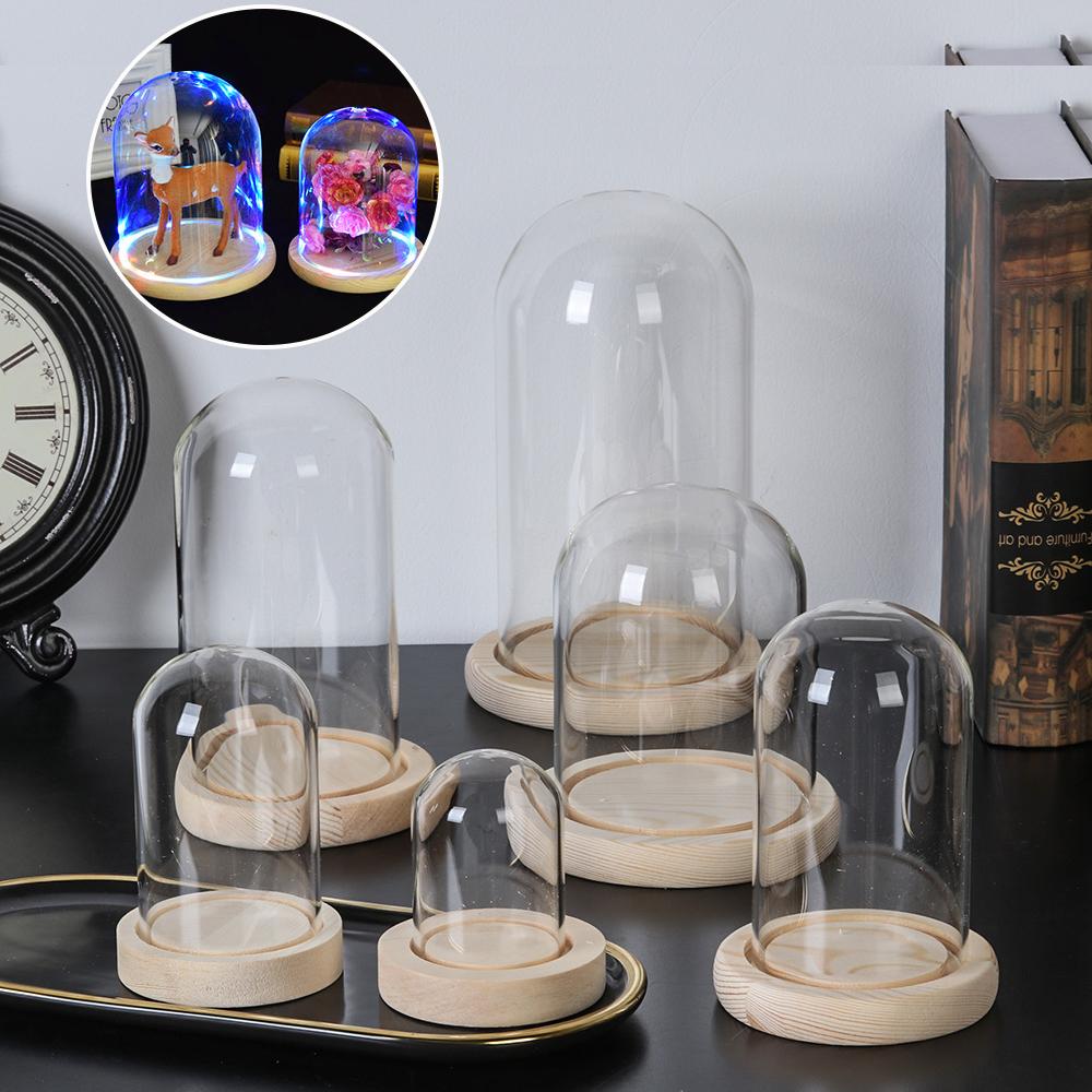Cloche de vidro jar expositor  - Terrarium Glass Bottle avaliação e preço