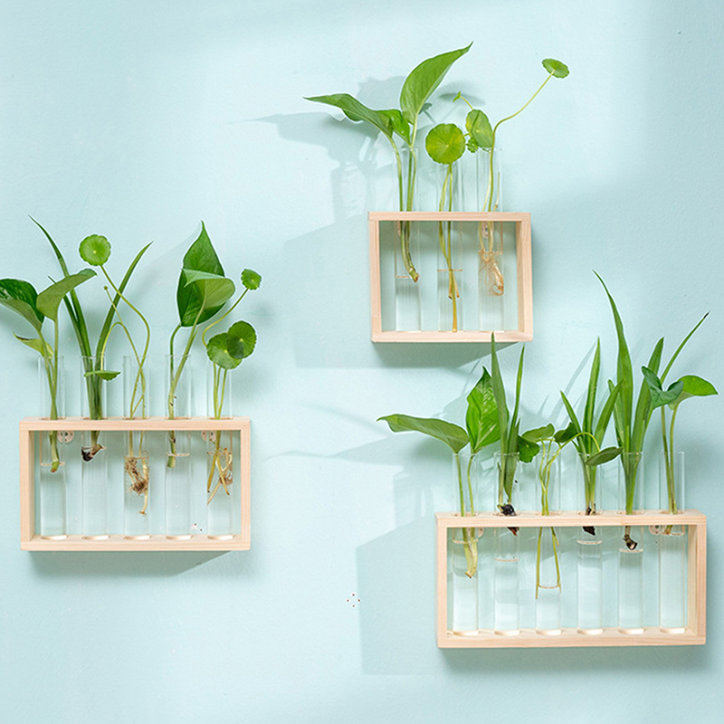 Recipiente de plantas hidropôn - Terrarium Glass Bottle avaliação e preço