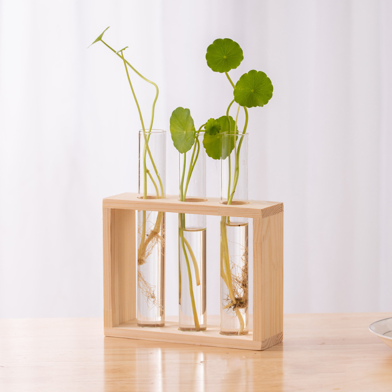 Recipiente de plantas hidropôn - Terrarium Glass Bottle avaliação e preço