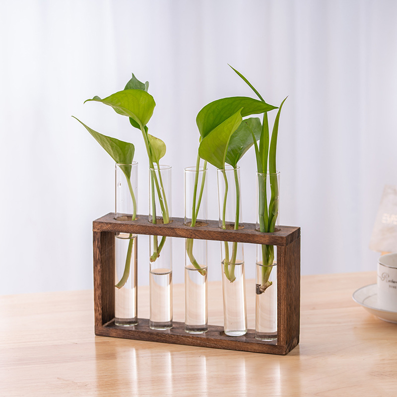 Recipiente de plantas hidropôn - Terrarium Glass Bottle avaliação e preço