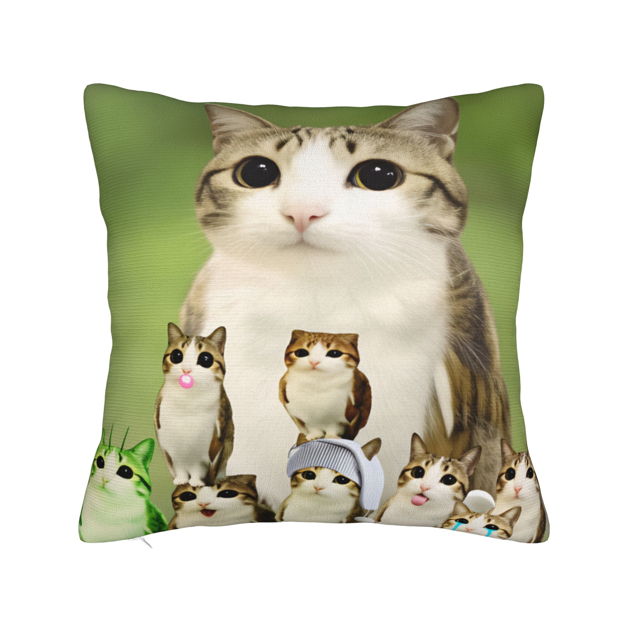 Capa de Almofada Engraçada Fam - Home Decor Png avaliação e preço